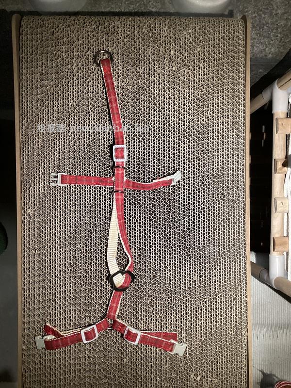 讨论/【教程】进阶版教程——如何将不到10块钱的牵引绳改造成100+的科学牵引绳 - 线报酷