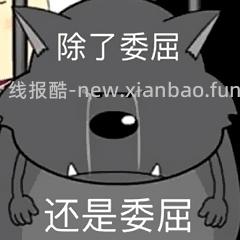 进来看楼主全家福！🐧pingu我至死都会暴烈地爱你❤️🥵🔥深夜简单车🚕刚需价约36一个断货款旗开得胜gu🏆不d别进😡 - 线报酷