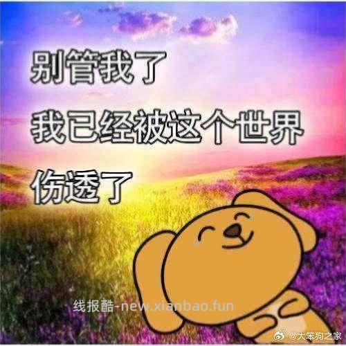 【教程】硬核转码+力扣题解+刷题教程（不学cs61b版）、欢迎结课来报喜！💐💐💐 - 线报酷