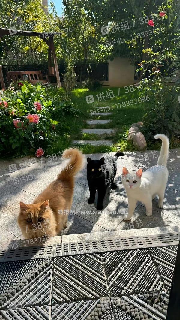 【教程】豆瓣技能之图片加水印 - 线报酷