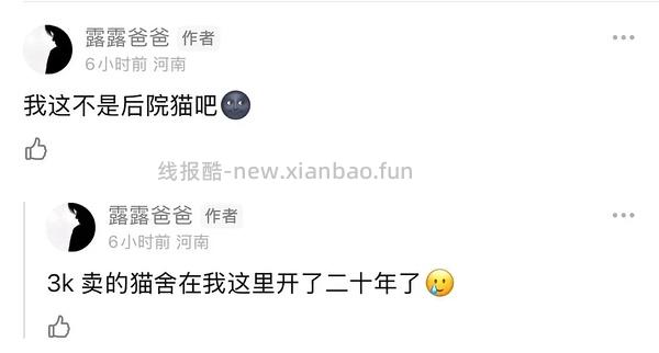 【科普】‼️‼️别问啦别问啦！买了后院猫，我不说还不行吗？！后院讨论科普避雷帖，欢迎大家补充😛 - 线报酷