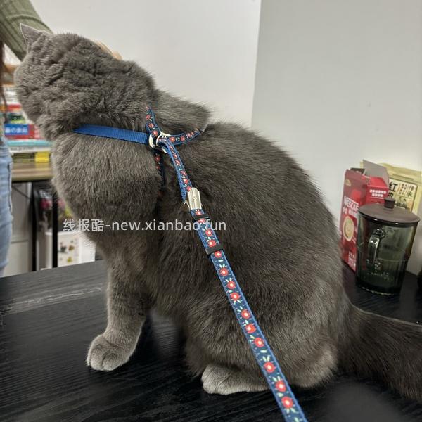 讨论/【教程】进阶版教程——如何将不到10块钱的牵引绳改造成100+的科学牵引绳 - 线报酷