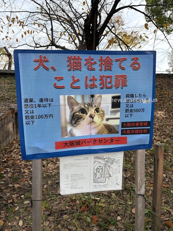 讨论/【科普】日本养猫科普网站关于为什么不能散养的文章 - 线报酷