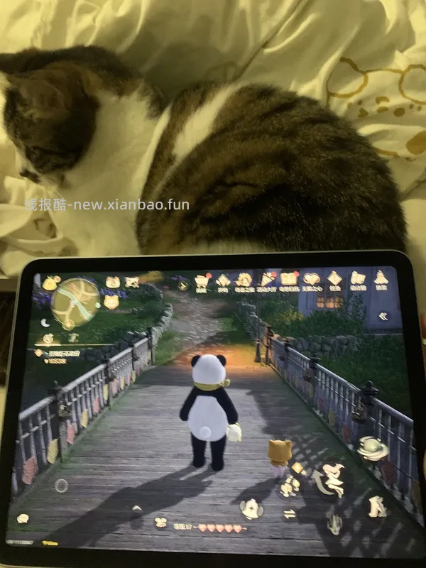 iPad air 7，256g，3196 - 线报酷