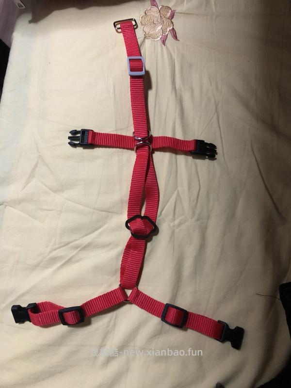 讨论/【教程】进阶版教程——如何将不到10块钱的牵引绳改造成100+的科学牵引绳 - 线报酷