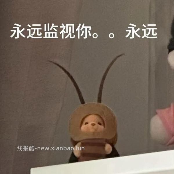 蓝威斯顿细薯条8-12块到手2kg - 线报酷