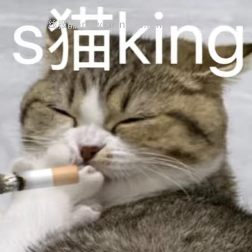 【车跑】恢复原价啦 盒马Stanley - 线报酷