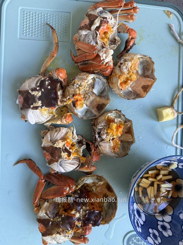 92r母蟹8只2.3～2.6两 - 线报酷