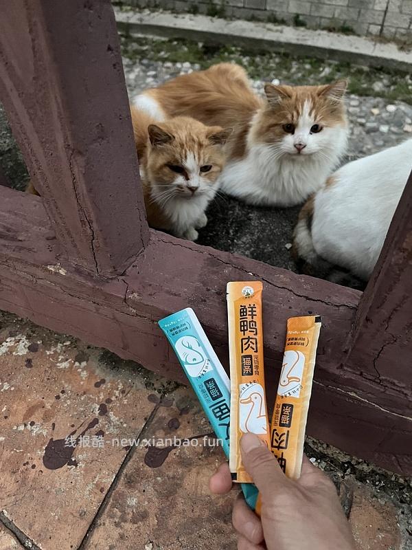 天猫超市麦富迪流浪猫粮最低可以做到40r左右10kg（需88vip），现在部分地区可能10kg的没有货了 - 线报酷