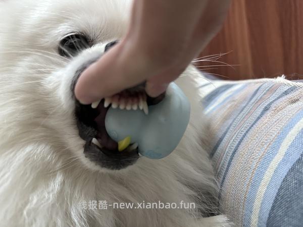 GiGwi贵为玩具专区75买204，36折到手，到手均价20以内 - 线报酷