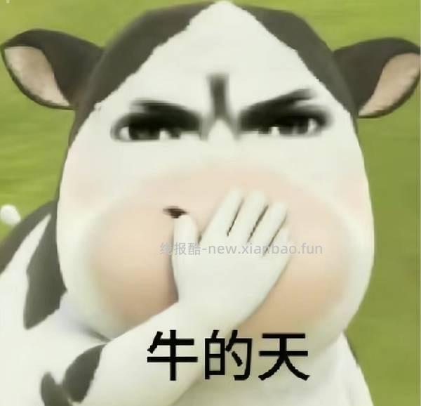 🚗走 秀肤生湿敷棉片1r/3盒 - 线报酷