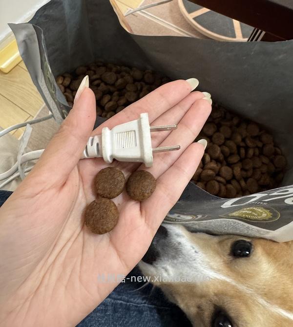 法米娜 💰388 12kg 26.5到期 - 线报酷