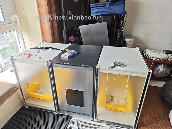 讨论/【科普】养猫省钱小妙招和好物推荐（欢迎补充☺️）【如有搬运，需本人同意】 - 线报酷