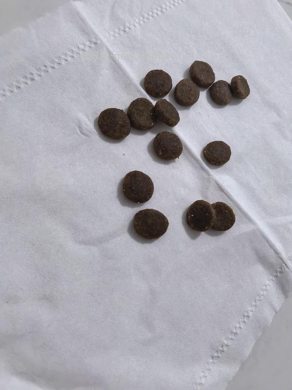 爱肯拿牧场盛宴4.5kg到手220 - 线报酷