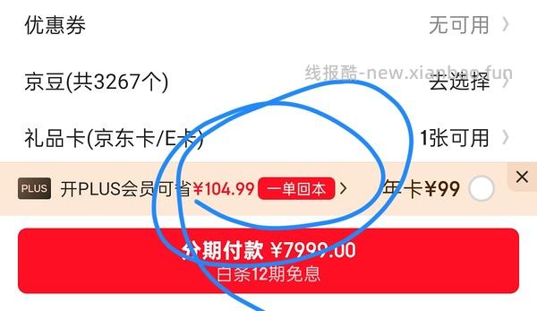 29块钱开JD Plus了！ - 线报酷