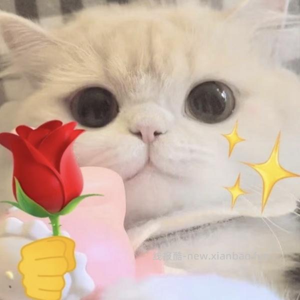 好价toptoy库洛米盲盒大约20r！超可爱！ - 线报酷