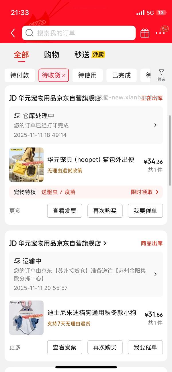 降温了要不要给🐱🐶买睡衣穿 到货的大家可以repo照片给我看看嘛🥺 - 线报酷