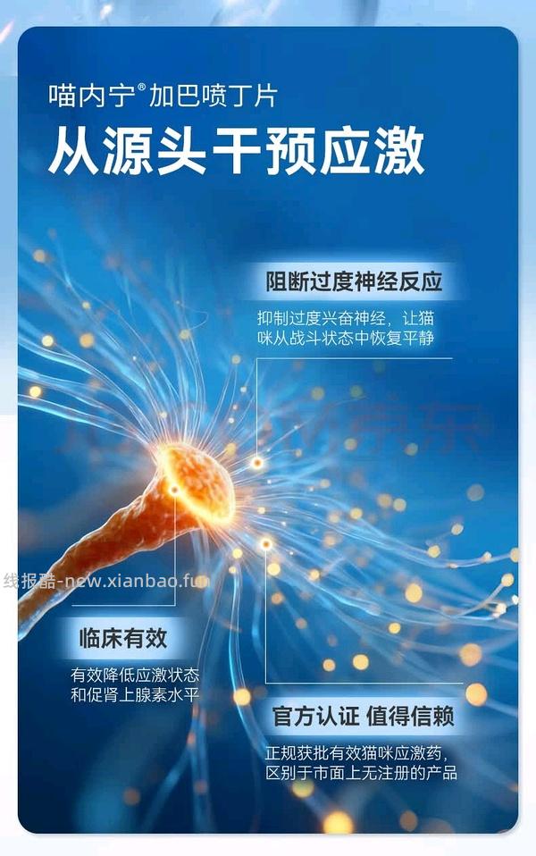 【科普】不要动不动就说人药比兽药好，随意替代，药代动力学是很复杂的 - 线报酷