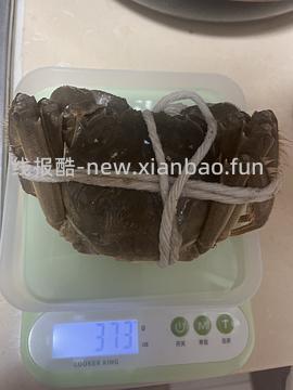 180的45公35母车回 - 线报酷