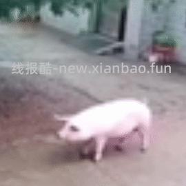 美团好想来门店自提多款0.1 可下多单 部分门店有星巴克和饮料 - 线报酷