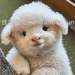 好价珀莱雅双抗精华 - 线报酷