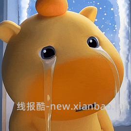 不到二十块get姜姜同款girlscrush高光and提亮液！ - 线报酷