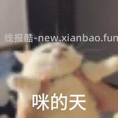 400买杂色象牙白scuba阔腿裤 - 线报酷