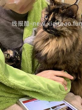 讨论/【科普】最简熟自制（好吃版）详细流程附器具清单 - 线报酷