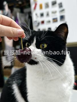 超简单沃尔玛4j车厘子2.5kg到手154元 - 线报酷