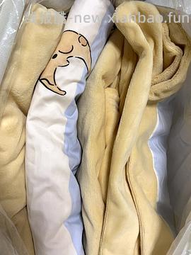 280拿下铭都牛奶绒四件套➕纯棉任意支数尺寸大豆被 - 线报酷