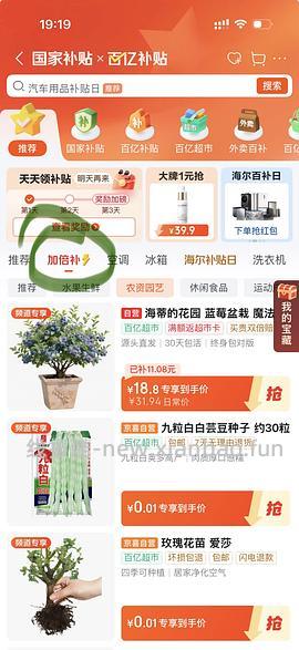 海蒂的花园蓝莓🫐盆栽17左右，果子很多 - 线报酷