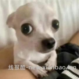 美的吸尘器刚需价81，dy刷券100-40。楼里姐妹好价62 - 线报酷