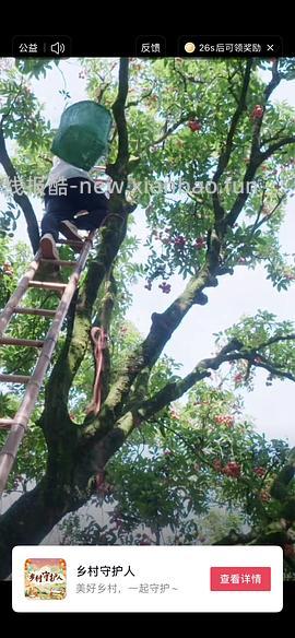 49买3x20ml安耐晒 - 线报酷