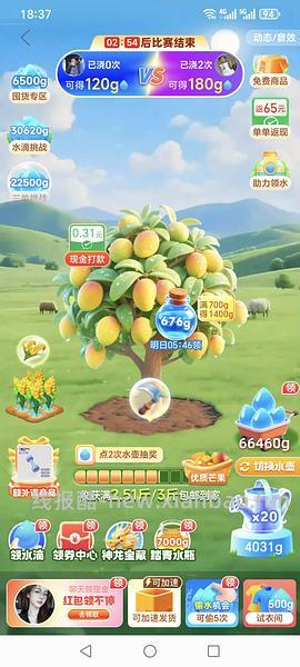 觅橘防晒衣41r（更新：可以36了！可能还🍚四块多 - 线报酷