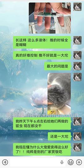 pdd博来恩130.9三支 - 线报酷
