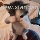 罗莱总部的线下内购会 - 线报酷