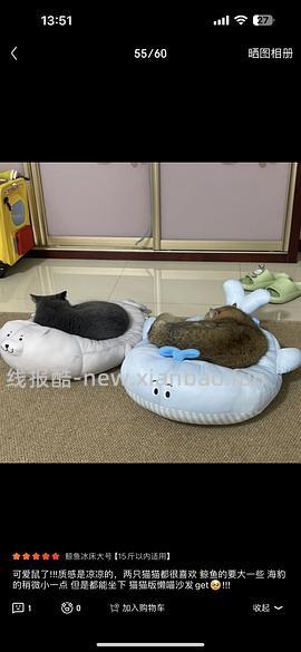 ZEZE猫窝海豹冰丝窝夏季凉窝高低弧度可枕猫垫子 鲸鱼冰床-小号44 - 线报酷