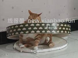 刷券，便宜耐抓猫抓板 - 线报酷