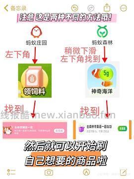  小佩max宠物烘干箱最低405到手 - 线报酷