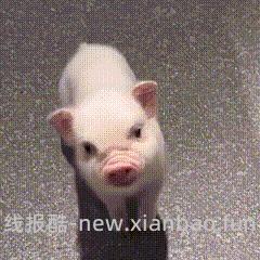 中秋来喝点好价卡士！🎑 - 线报酷