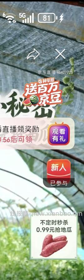 无籽麒麟西瓜5-7斤，8元一个或更低 - 线报酷