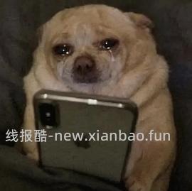 机不可失，失不再来，超好价兄弟2508打印机855+ - 线报酷