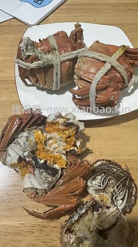 鱻谣大闸蟹2.8两母蟹8只 124r - 线报酷