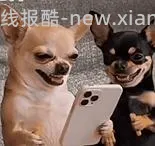 京东维达超韧Plus挂抽3层280抽*8提M码 超好价26元 - 线报酷