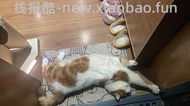 讨论/【科普】军训图及我的军训历程 - 线报酷