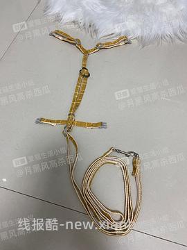 讨论/【教程】进阶版教程——如何将不到10块钱的牵引绳改造成100+的科学牵引绳 - 线报酷