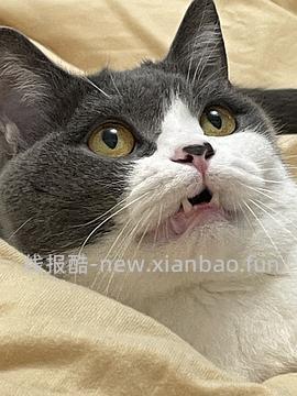 【科普】牙科问题和普通内科问题都可以留言，看到会回复 - 线报酷