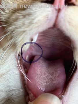 【科普】牙科问题和普通内科问题都可以留言，看到会回复 - 线报酷