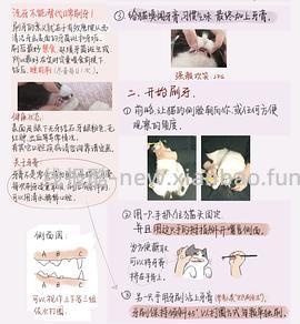 讨论/【科普】猫刷牙详细图文教程2.0 - 线报酷