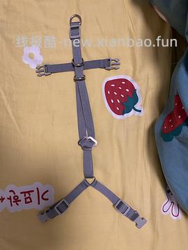 讨论/【教程】进阶版教程——如何将不到10块钱的牵引绳改造成100+的科学牵引绳 - 线报酷